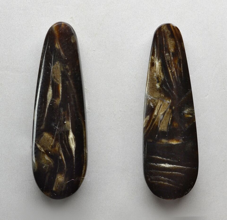 Fossil Foraminiferous 14.87