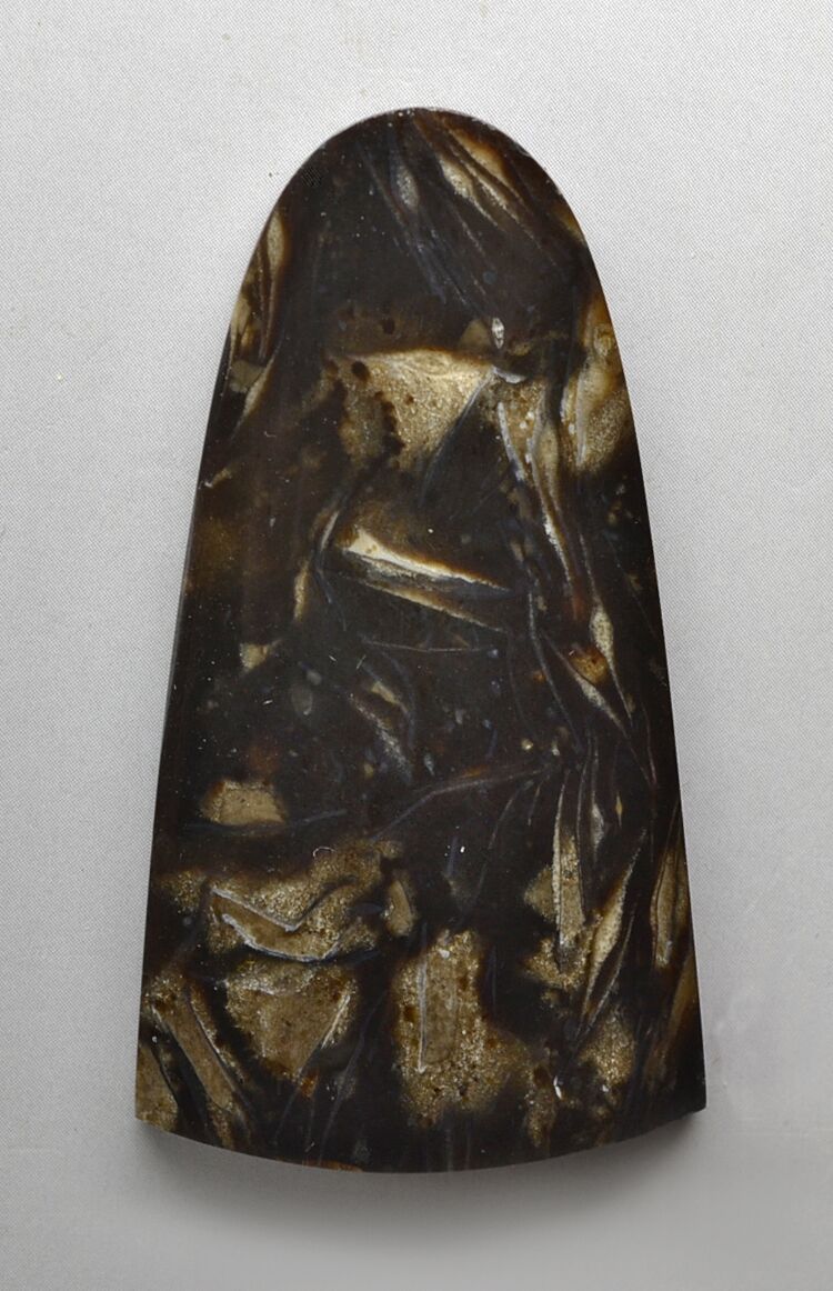 Fossil Foraminiferous 37.62