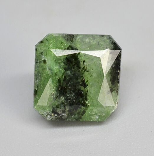 Ferro Pargasite in Green Zoisite 3.17 ct