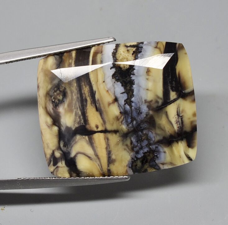 Fossil Mammoth Tooth Stegodon 17.00 ct Cushion 25.60 x 21.60 x 4.20 mm Location: Siberia,Russia max9725
