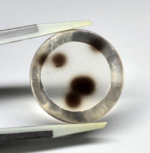 Dalmatian Quartz 15.75 ct